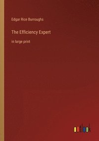bokomslag Efficiency Expert