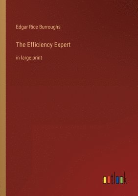 bokomslag Efficiency Expert