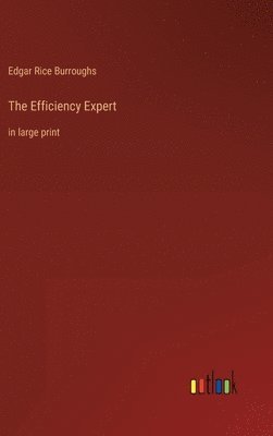 bokomslag Efficiency Expert