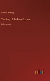 bokomslag Story of the Pony Express
