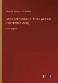 bokomslag Notes to the Complete Poetical Works of Percy Bysshe Shelley