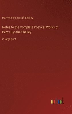 bokomslag Notes to the Complete Poetical Works of Percy Bysshe Shelley