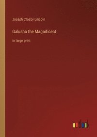 bokomslag Galusha the Magnificent