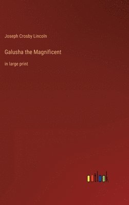 bokomslag Galusha the Magnificent