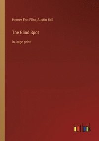 bokomslag The Blind Spot
