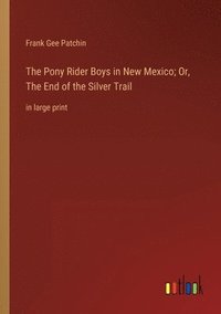 bokomslag Pony Rider Boys in New Mexico; Or, The End of the Silver Trail
