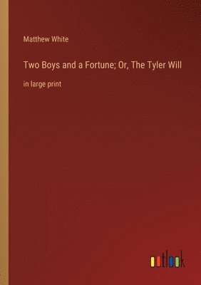 bokomslag Two Boys and a Fortune; Or, The Tyler Will