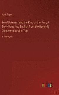 bokomslag Zein Ul Asnam and the King of the Jinn; A Story Done into English from the Recently Discovered Arabic Text