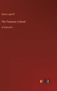 bokomslag The Treasure; A Novel