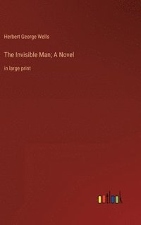 bokomslag Invisible Man; A Novel