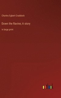 bokomslag Down the Ravine; A story