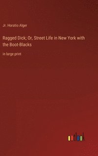 bokomslag Ragged Dick; Or, Street Life in New York with the Boot-Blacks