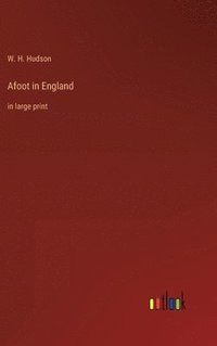 bokomslag Afoot in England