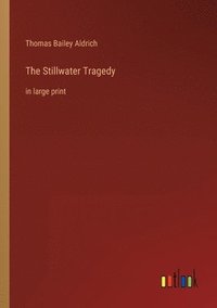 bokomslag The Stillwater Tragedy