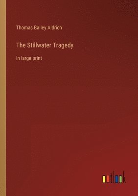 bokomslag The Stillwater Tragedy