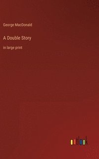 bokomslag Double Story