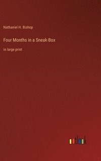 bokomslag Four Months in a Sneak-Box