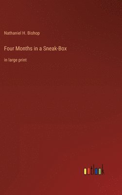 bokomslag Four Months in a Sneak-Box