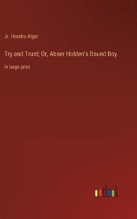 bokomslag Try and Trust; Or, Abner Holden's Bound Boy