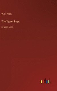 bokomslag Secret Rose