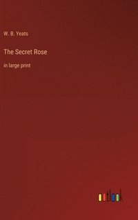 bokomslag The Secret Rose