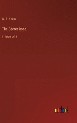 bokomslag Secret Rose