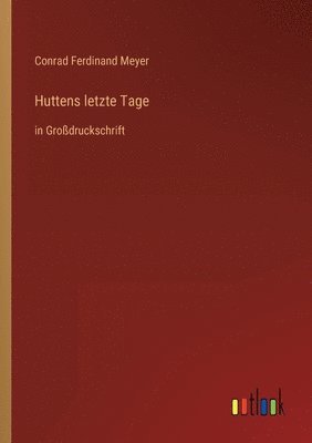 bokomslag Huttens letzte Tage