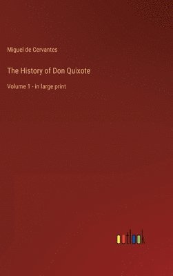 bokomslag The History of Don Quixote