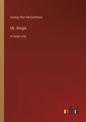 bokomslag Mr. Bingle: in large print