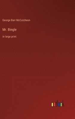 bokomslag Mr. Bingle: in large print