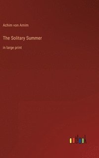 bokomslag The Solitary Summer: in large print