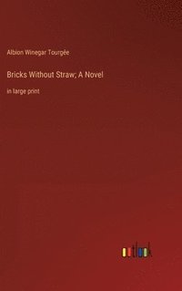 bokomslag Bricks Without Straw; A Novel