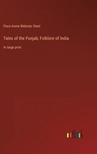 bokomslag Tales of the Punjab; Folklore of India