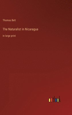 Naturalist in Nicaragua