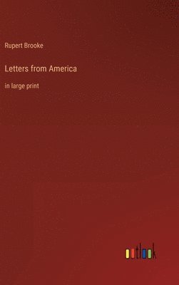 bokomslag Letters from America