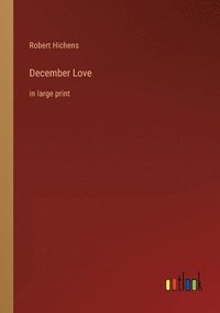 bokomslag December Love