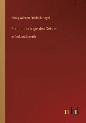 bokomslag Phnomenologie des Geistes