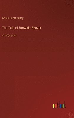 bokomslag Tale of Brownie Beaver