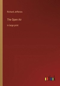 bokomslag Open Air