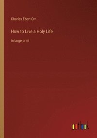 bokomslag How to Live a Holy Life