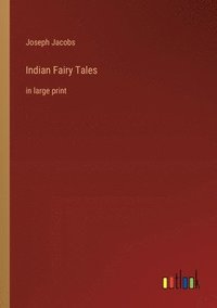 bokomslag Indian Fairy Tales