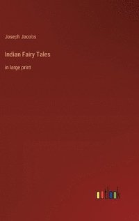 bokomslag Indian Fairy Tales