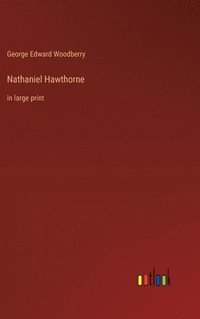 bokomslag Nathaniel Hawthorne