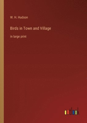 Birds in Town and Village 1