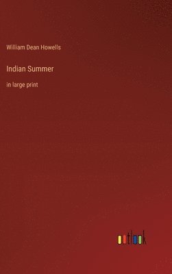 bokomslag Indian Summer