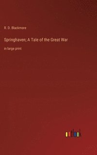 bokomslag Springhaven; A Tale of the Great War