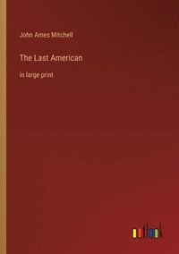 bokomslag The Last American