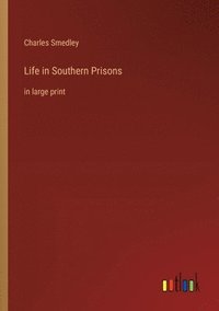 bokomslag Life in Southern Prisons