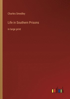 bokomslag Life in Southern Prisons