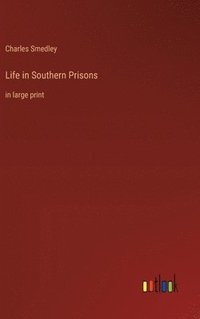 bokomslag Life in Southern Prisons
